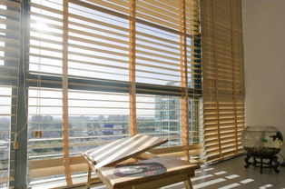 大連辦公窗簾百葉窗簾哪里訂做