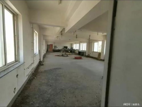 大連市有一座大型廢棄工廠第二次拍賣(mài),被人以716.8萬(wàn)元競(jìng)得