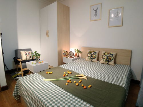 北外灘 臨江大廈 4 12號(hào)線 超美主臥 獨(dú)衛(wèi) 陽臺(tái) 單...