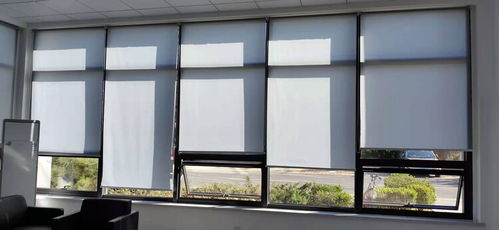 【鑫盛大連百葉窗簾,卷簾窗簾現(xiàn)貨】- 