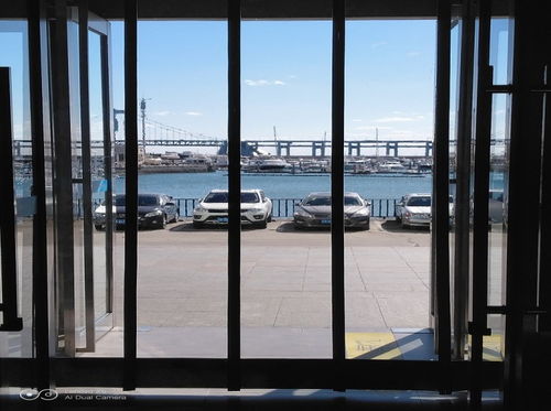 【大連磁門簾,防蟲門簾價格實惠】- 