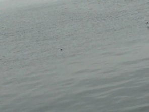 流浪大連 窗簾之后的故事